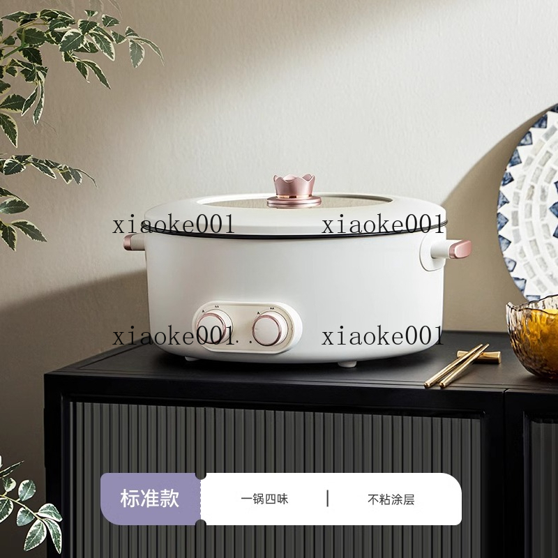 6L multifunctionele elektrisch - Hot Pot Electric recensie en prijs